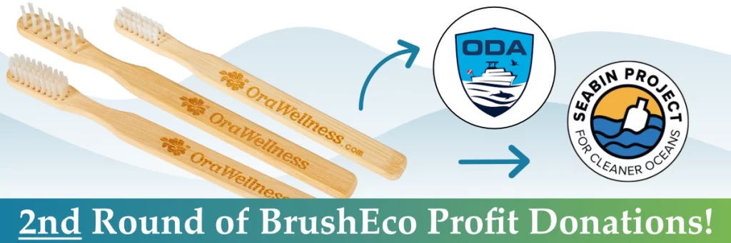 2nd Round of BrushEco Profit Donations!