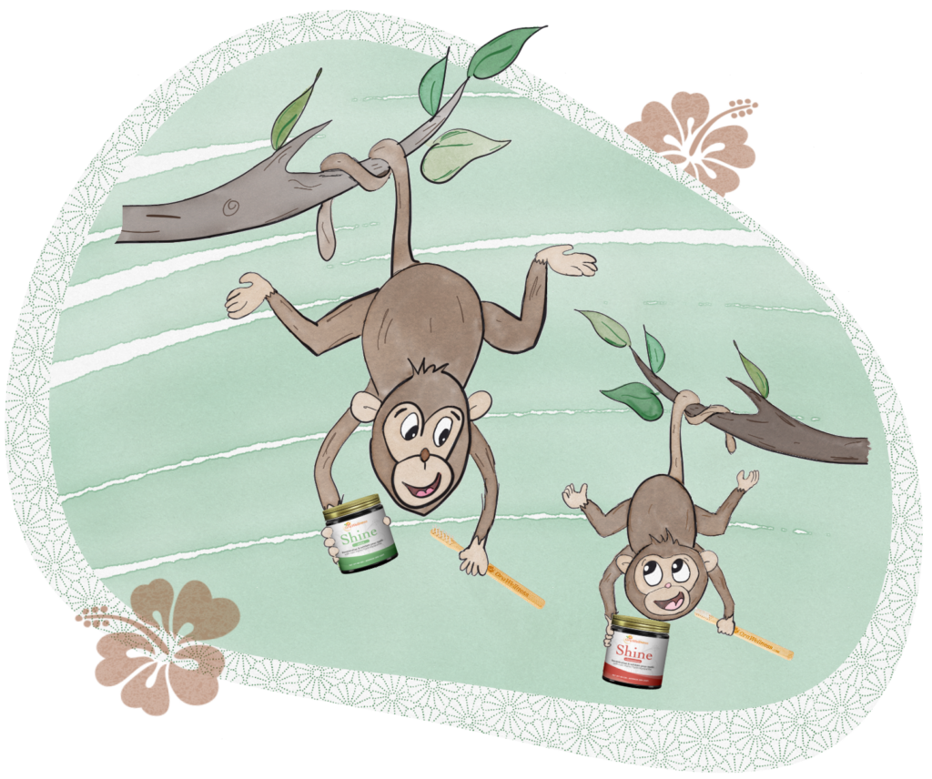 A father monkey and a child monkey hanging from tree branches and holding jars of Shine Tooth Powder and BrushEco Bass toothbrushes